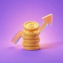 Financial robustness